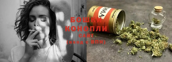 шишки Мурманск