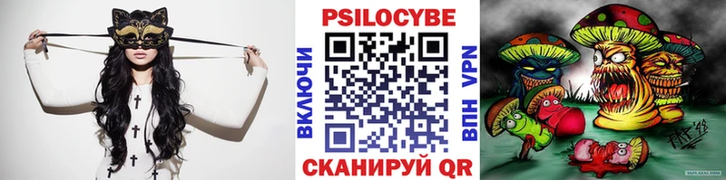Псилоцибиновые грибы Psilocybine cubensis  Купить закладки  Котлас 